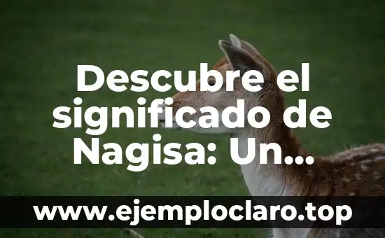 Descubre el significado de Nagisa: Un nombre con raíces profundas en la cultura japonesa