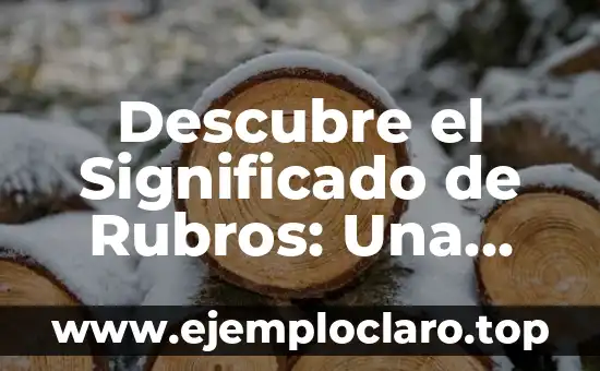Significado de la Cestería: Un Arte Tradicional 8 Descubre el Significado de Rubros: Una Guía Completa