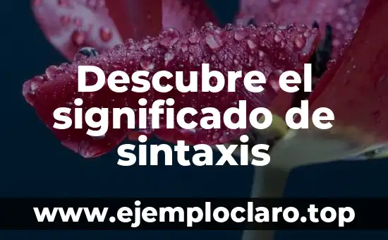 Concepto de Significado para V Muñiz 7 Descubre el significado de sintaxis