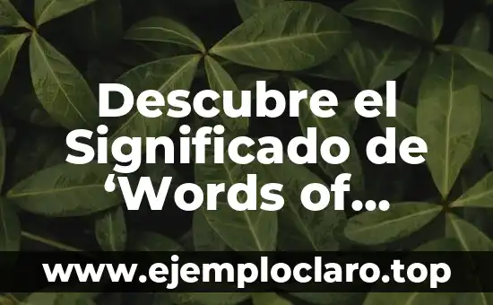 Juegos de 2, 3, 4 jugadores: divertidos y emocionantes 4 Descubre el Significado de ‘Words of Wonders’ y su Relevancia en los Juegos de Palabras