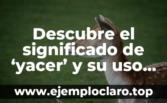Descubre el significado de ‘yacer’ y su uso en el lenguaje