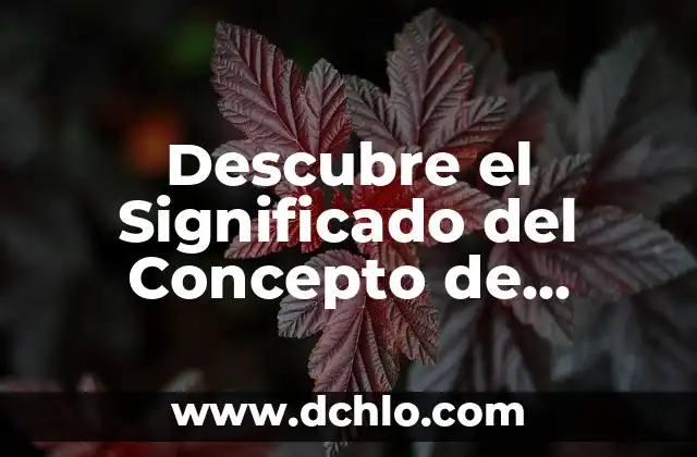El Significado de Exacerbar: Un Concepto Fundamental 4 Descubre el Significado del Concepto de Maravilloso
