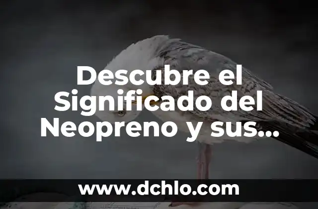 Momento Polar de Inercia: Comprensión Básica y Aplicaciones 5 Descubre el Significado del Neopreno y sus Aplicaciones