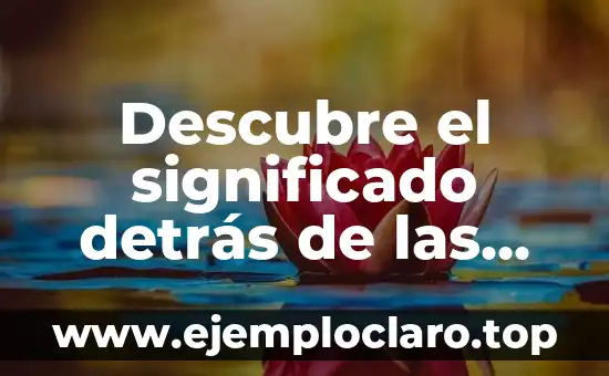 Descubre el significado detrás de las palabras de los Minions