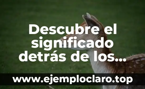 El significado de la argumentación en la filosofía 6 Descubre el significado detrás de los enigmas