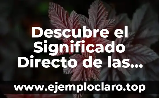 Descubre el Significado Directo de las Palabras: Guía Completa