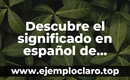 Descubre el significado en español de WTF y su uso en el lenguaje actual