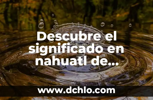 Descubre el Significado de Quisque: Un Misterio Lingüístico Revelado 5 Descubre el significado en nahuatl de ‘Chocholstik’