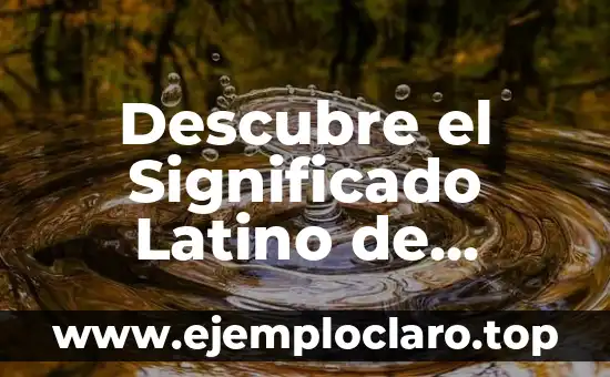 Descubre el Significado Latino de Célula Madre: Un Viaje a sus Raíces Etimológicas