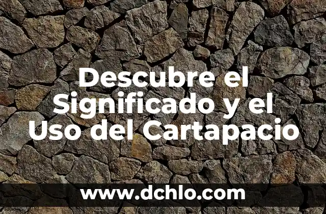 Uso y Significado de los Colores 6 Descubre el Significado y el Uso del Cartapacio