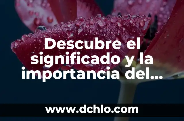Significado Etimológico de Homo Habilis: Orígenes y Evolución del Término 3 Descubre el significado y la importancia del merenguero en la música Latina