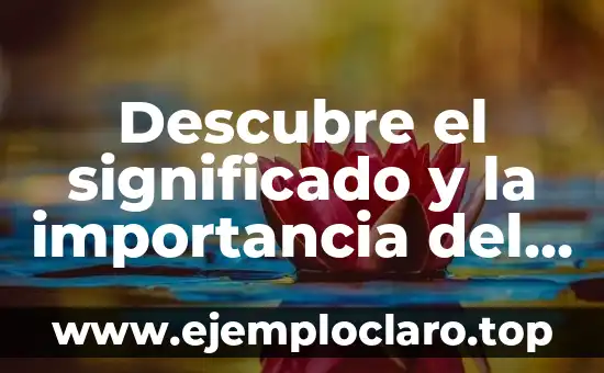 Descubre el significado y la importancia del merenguero en la música Latina
