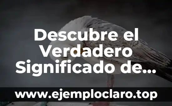 Instrumentos Musicales: Descubre el Significado de Cada Uno 7 Descubre el Verdadero Significado de Duradero y Su Importancia en Nuestras Vidas