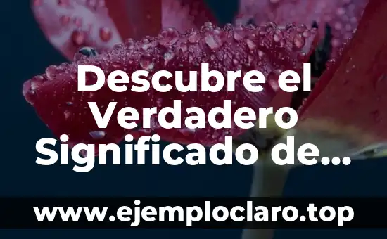 Descubre el Verdadero Significado de Fetch