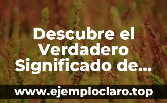 Descubre el Verdadero Significado de PFP en las Redes Sociales