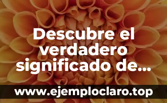 Descubre el verdadero significado de ‘stan’ y su impacto en la cultura moderna
