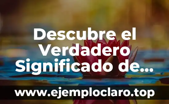 Descubre el Verdadero Significado de Suger y Su Impacto en Nuestras Comunicaciones