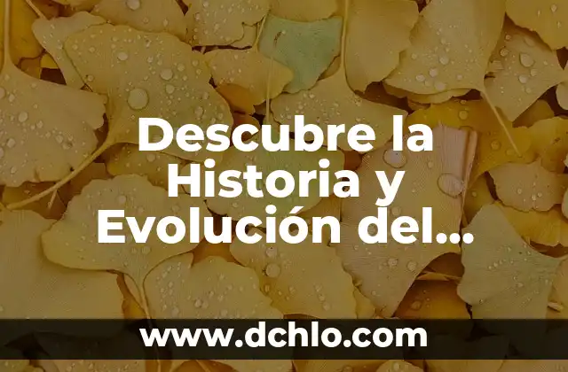 Descubre el significado en nahuatl de 'Chocholstik' 3 Descubre la Historia y Evolución del Pizarrón