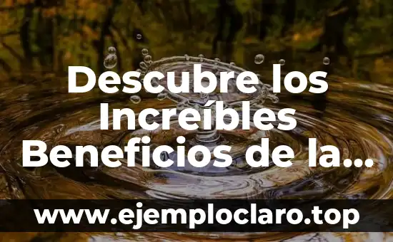 Descubre los Increíbles Beneficios de la Cúrcuma en el Cuerpo
