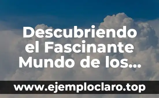 Descubriendo el Fascinante Mundo de los Moluscos