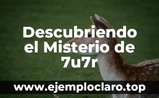 Descubriendo el Misterio de 7u7r