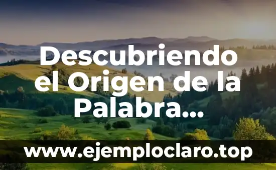 Descubriendo el Origen de la Palabra Biblioteca