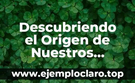Descubriendo el Origen de Nuestros Apellidos: El Significado Etimológico de tu Apellido