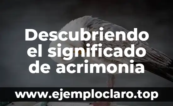Descubriendo el Significado de la Apologética: Una Guía Completa 8 Descubriendo el significado de acrimonia