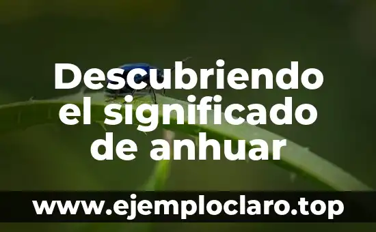 Significado y Concepto de Redarguir 8 Descubriendo el significado de anhuar