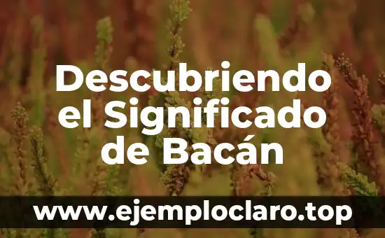 Descubriendo el Significado de la Apologética: Una Guía Completa 7 Descubriendo el Significado de Bacán
