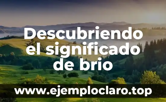 Descubriendo el Significado de la Apologética: Una Guía Completa 3 Descubriendo el significado de brio