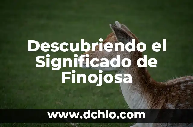 El Concepto de Subyacer: Descubriendo lo que Está Por Debajo 4 Descubriendo el Significado de Finojosa