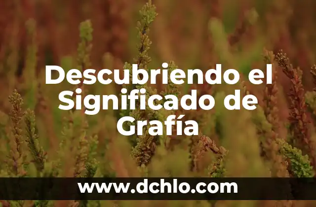 Descubriendo el Significado de Hioides 5 Descubriendo el Significado de Grafía