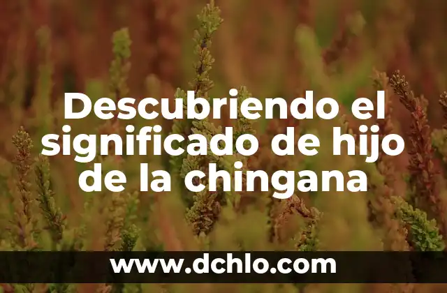 Sentido de 'Wendy Mayrin': Descubriendo su Legado en el Mundo del Bienestar 8 Descubriendo el significado de hijo de la chingana