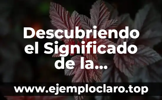 Descubriendo el Significado de la Apologética: Una Guía Completa
