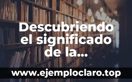 Descubriendo el significado de la desnatadora y su importancia