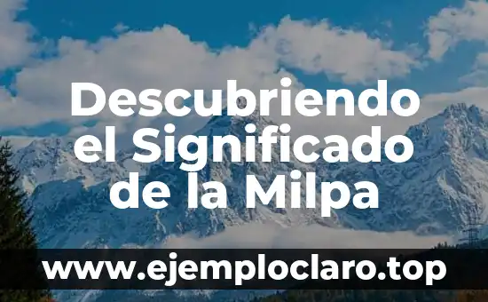 Descubriendo el Bajío: Un Viaje por su Historia y Cultura 5 Descubriendo el Significado de la Milpa