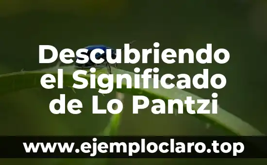 Significado del Logo de Coca-Cola: Un Icono de la Historia Empresarial 4 Descubriendo el Significado de Lo Pantzi