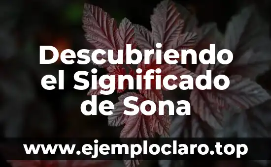 Significado de Steward 6 Descubriendo el Significado de Sona