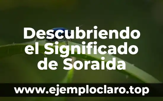 Descubriendo el Significado de Soraida