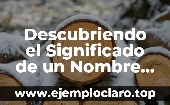 ¿Qué Es la Pereza? Descubre el Significado y Concepto 5 Descubriendo el Significado de un Nombre Especial