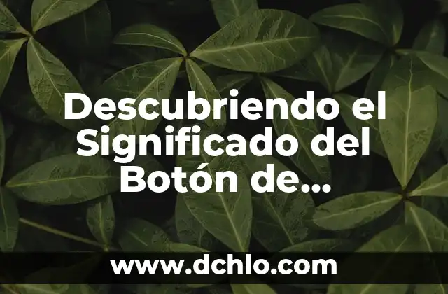 Significado del Bosque de Haret: Un Viaje al Corazón de la Naturaleza 4 Descubriendo el Significado del Botón de Inspeccionar