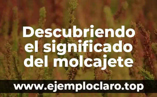 Descubriendo el significado del molcajete