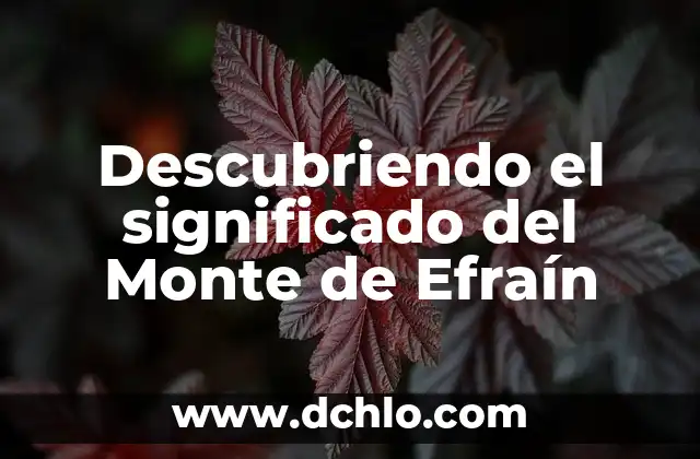 Descubriendo el Significado del Municipio de Arcelia 6 Descubriendo el significado del Monte de Efraín