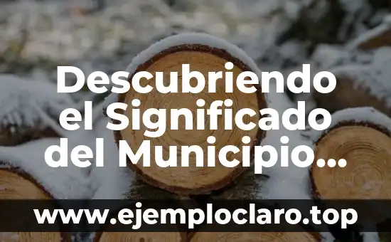 Descubriendo el Significado del Municipio de Arcelia