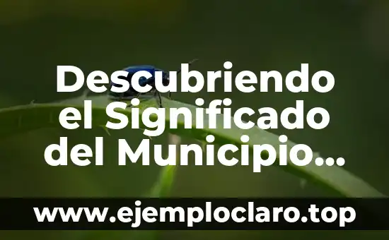 Descubriendo el Significado del Municipio de Atenco
