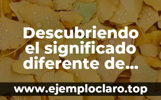 Descubriendo el significado diferente de una monografía