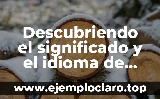 Descubriendo el Significado de la Apologética: Una Guía Completa 6 Descubriendo el significado y el idioma de arrababasei