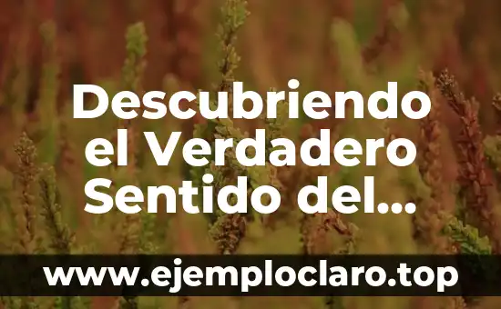 Descubriendo el Verdadero Sentido del Discernimiento: Significado y Conceptos Clave