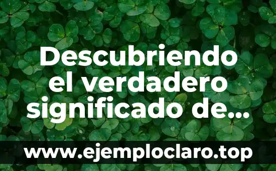 El significado de los piercings como expresión de libertad 7 Descubriendo el verdadero significado de Supreme